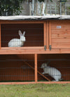 Bunny Rabbit Hutch Cover For Winter Garden Outdoor Waterproof Small