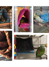 Fashion Pet Bird Parrot Cages Warm Hammock Hut Tent Bed Hanging Cave
