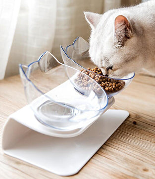 Non-slip Double Cat Bowl Dog Bowl With Stand Pet Feeding Cat Water