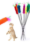 Pet cat Interactive toy Cute Design Bell and bird