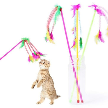 Pet cat Interactive toy Cute Design Bell and bird