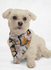 Watercolor Butterflies Cat & Dog Bandana