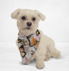 Watercolor Butterflies Cat & Dog Bandana