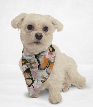 Watercolor Butterflies Cat & Dog Bandana