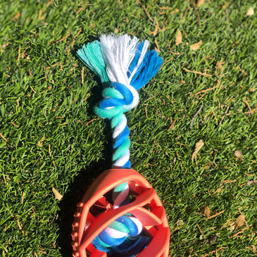 Rubber Football Chew Toy with Tug Rope